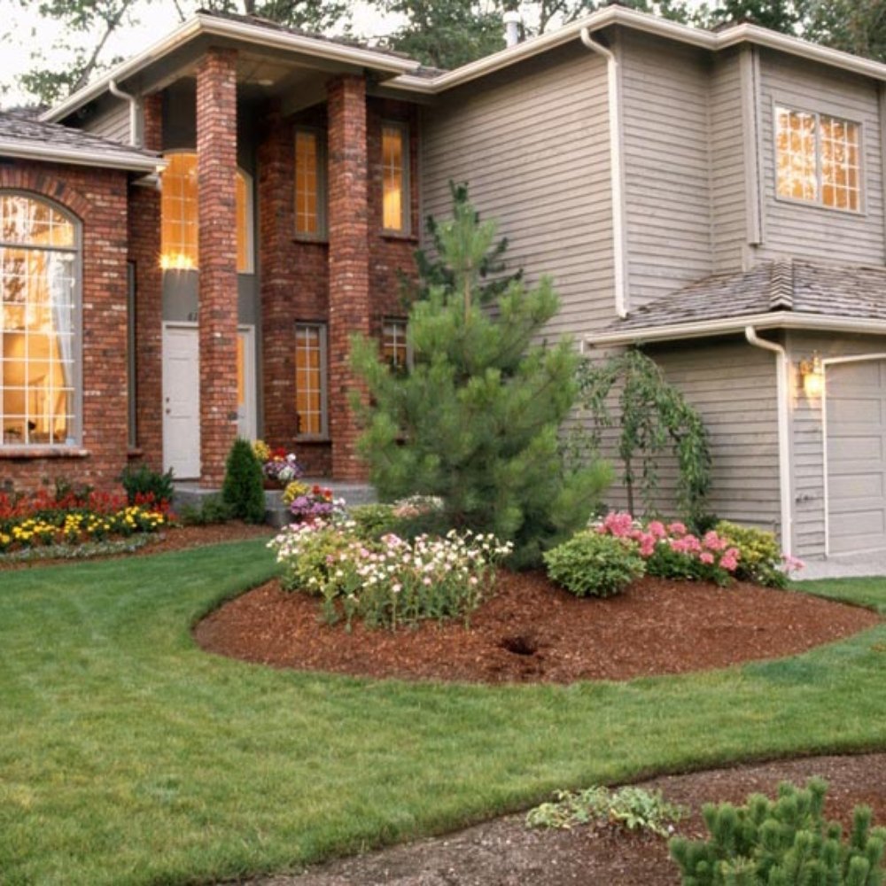 Landscape professional evaluating grading, planting zones, and drainage before installation work begins
