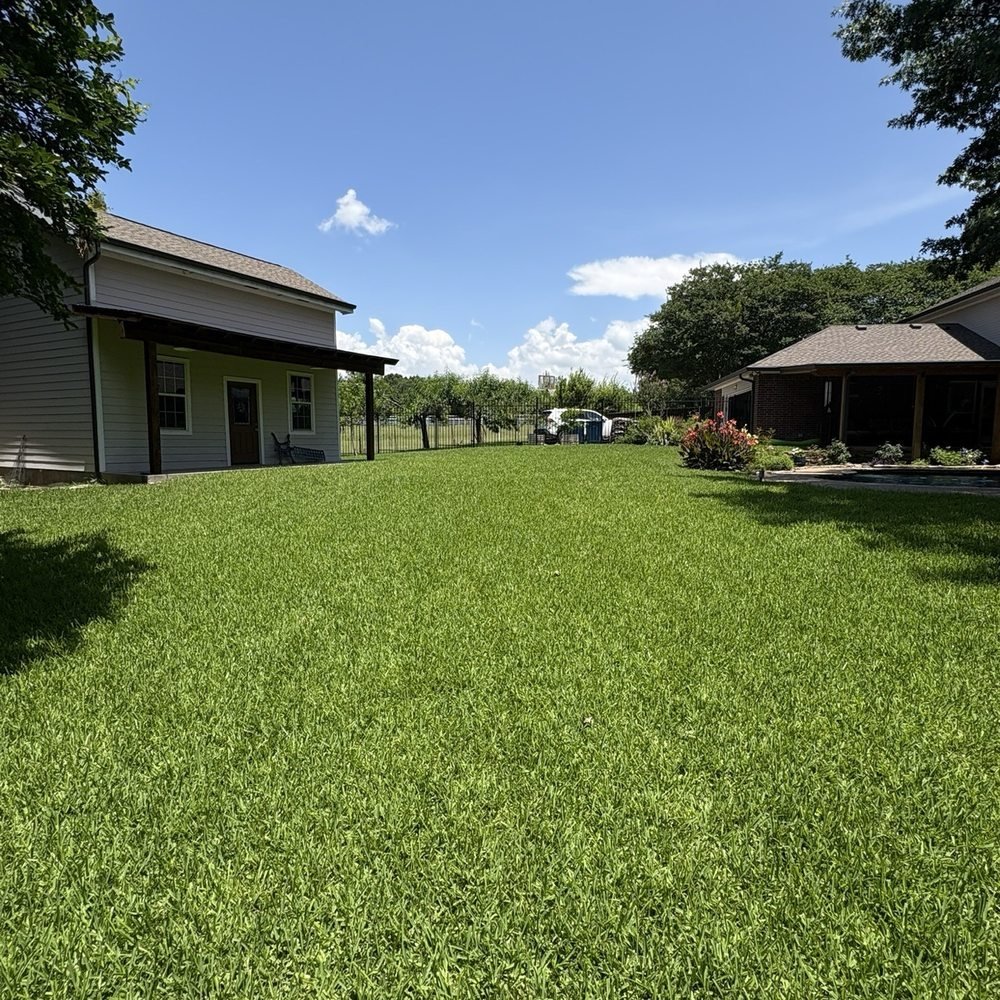 Lawn care specialist inspecting turf density and weed activity across residential yard